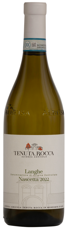NASCETTA Langhe