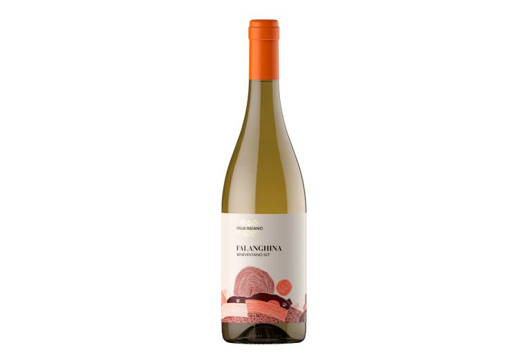 FALANGHINA del Beneventano